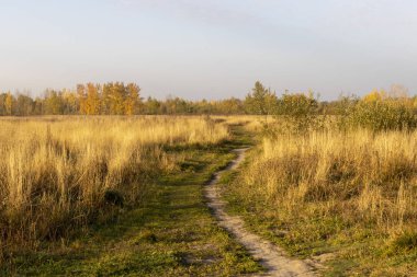 Şafak vakti tarlada bir yol manzarası.