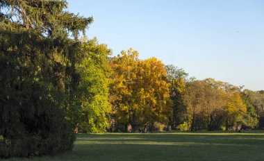 Sonbahar manzara İskenderiye Park Park'ta. Bila Tserkva, Ukrayna'nın Kiev bölge.