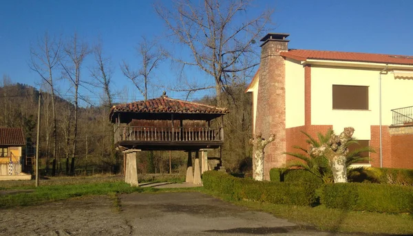 Grenier Des Asturies Élevé Par Des Piliers Appelé Horreo Galice — Photo