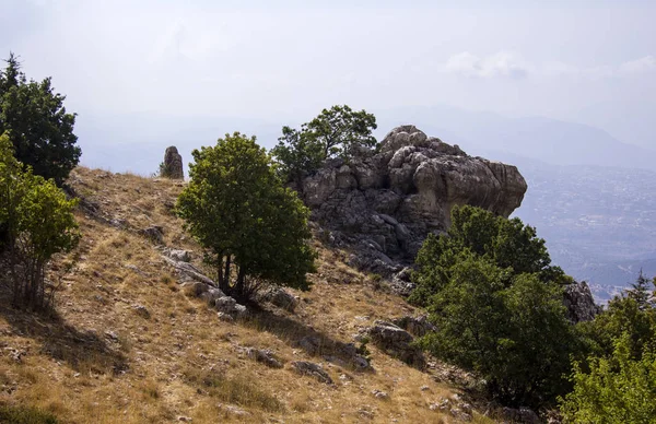 Floresta Cedro Líbano Montanhas Líbano Foram Sombreadas Por Densas Florestas — Fotografia de Stock