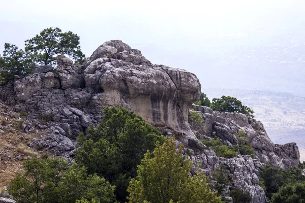 Cedar forest in Lebanon. The mountains of Lebanon were once shaded by thick cedar forests. The Cedar tree is the symbol of the Lebanon.