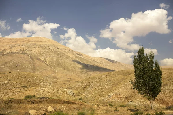 Paisagem Libanesa Rodovia Bekaa Valley Líbano — Fotografia de Stock