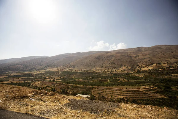 Panorama Bekaa Valley Landscape Vineyard Hills Lebanon — Stock Photo, Image