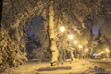 Kiev, Ukrayna - 15 Aralık 2018: Akşam Kiev. Karla kaplı Mariinsky Park sokak. Ukrayna