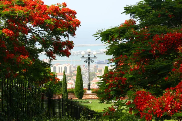 Paysage avec jardins Bahai à Haïfa, Israël — Photo