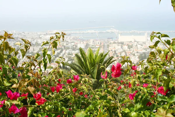 Uitzicht op de stad vanaf de top van de Bahai tuinen in Haifa in Israël — Stockfoto