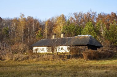 Kiev, Ukrayna - 8 Kasım 2014: Eski ahşap geleneksel ev Ukrayna Ulusal Müzesi açık havada Pirogovo. Kyiv, Ukrayna