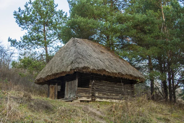 Starożytnych Drewniana Stodoła Dachu Krytym Słomą Muzeum Narodowego Ukraińskiego Wolnym — Zdjęcie stockowe