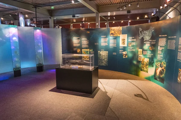 Cherbourg, Fransa - 26 Ağustos 2018: Modeli Jules Verne'in Nautilus Denizcilik Müzesi La Cite de La Mer'ya da şehir deniz Cherbourg, Fransa