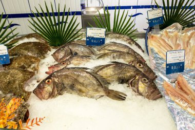 Yeni yakalanan balık dükkan tezgahına serilir. Cherbourg N