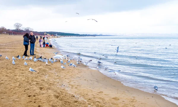 Gente y cisnes en la playa en la costa del Mar Báltico en Gdansk, Polonia — Foto de Stock