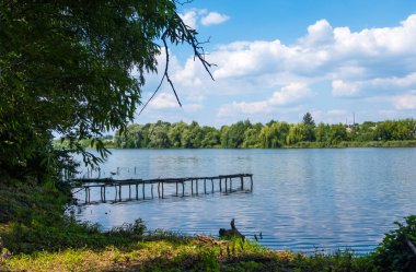 Zhashkiv City, Ukrayna yakınında kırsal peyzaj güzel görünümü