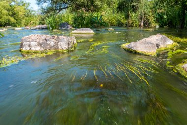 Buky Kanyon yakınlarındaki taş kayalar ile mevcut Tikich nehrin güzel görünümü, Ukrayna