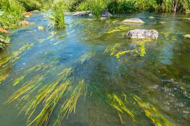 Buky Kanyon yakınlarındaki taş kayalar ile mevcut Tikich nehrin güzel görünümü, Ukrayna