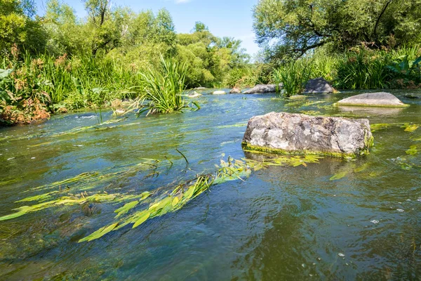 Buky Kanyon yakınlarındaki taş kayalar ile mevcut Tikich nehrin güzel görünümü, Ukrayna