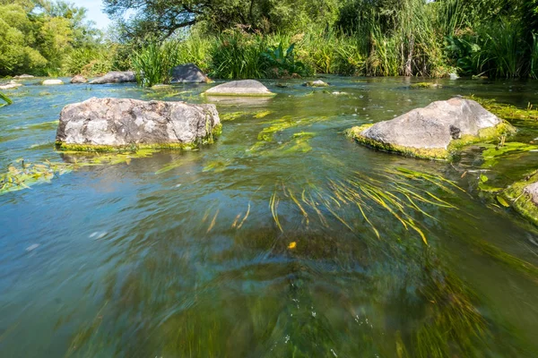 Buky Kanyon yakınlarındaki taş kayalar ile mevcut Tikich nehrin güzel görünümü, Ukrayna