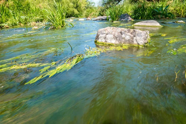 Buky Kanyon yakınlarındaki taş kayalar ile mevcut Tikich nehrin güzel görünümü, Ukrayna