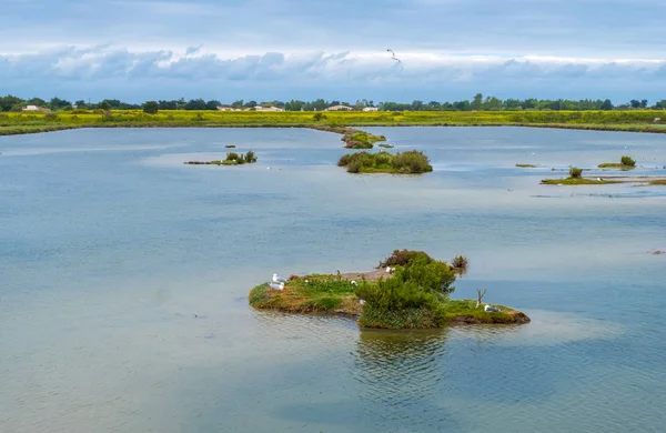 Landscape of Ile de Re island in France — Stock Photo, Image