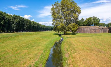 İtalya 'nın Lucca, Toskana kentindeki ortaçağ kale duvarı ve şehir parkı