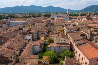 Lucca, İtalya - 14 Ağustos 2019: Lucca 'nın Guinigi Kulesi' ndeki meşe ağaçları, Toskana, İtalya 'daki balkonundan panoramik görüntüsü
