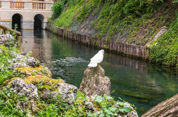 Vicenza Italy August 2019 Beautiful View Giardino Salvi Garden Valmarana — Stock Photo, Image