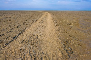 Saint-Benoit-des-Ondes, Fransa 'nın kuzeybatısında yer alan Brittany Körfezi Mont Saint Michel yolu üzerindeki Ille-et-Vilaine Bölümü' nde yer alan bir komün.