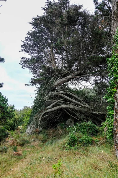 Paisagem na pitoresca ilha de Ile de Brehat na Bretanha, França — Fotografia de Stock