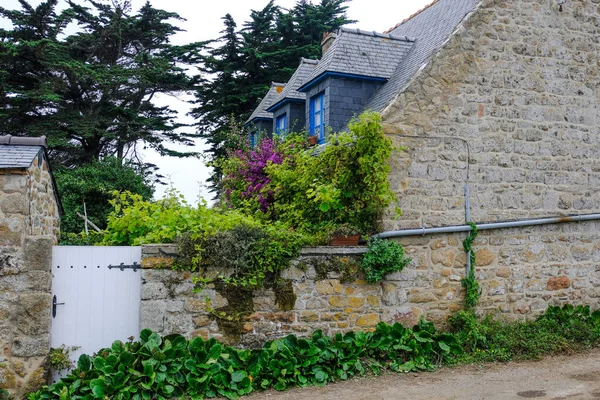 Ile Brehat France Août 2019 Maison Campagne Avec Jardin Fleurs — Photo