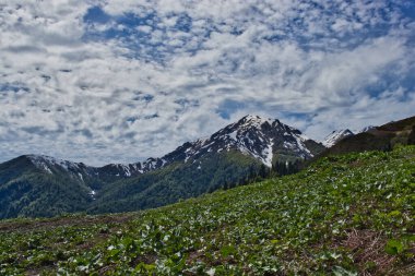 Büyük Kafkasya Dağları - Samegrelo Dağları Planlı Ulusal Park, Georgia.