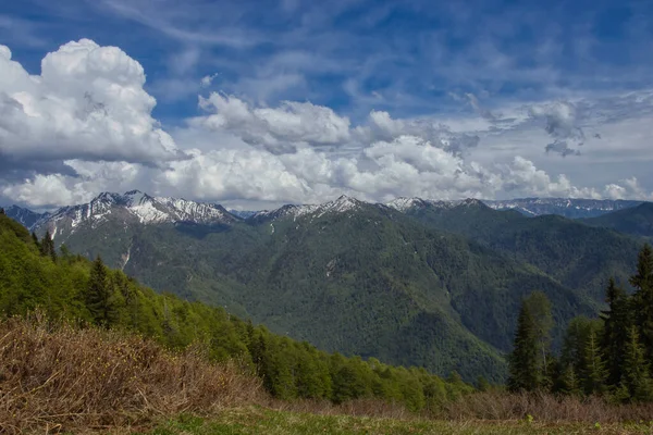 Büyük Kafkasya Dağları - Samegrelo Dağları Planlı Ulusal Park, Georgia.