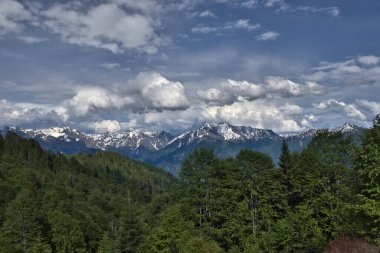 Haziran ayı başında Büyük Kafkasya Dağları - Gürcistan 'daki Samegrelo Planlı Ulusal Parkı' ndaki Dağlar.