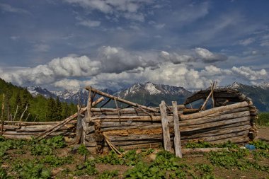Haziran ayının başında, Gürcistan 'ın Samegrelo Planlı Ulusal Parkı' ndaki Büyük Kafkasya Dağları 'nda. Ön planda kısmen harap olmuş ahşap kulübe var..