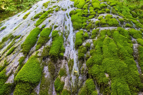 Parte Inferior Una Cascada Grande Toba Samegrelo Zemo Svaneti Georgia —  Fotos de Stock