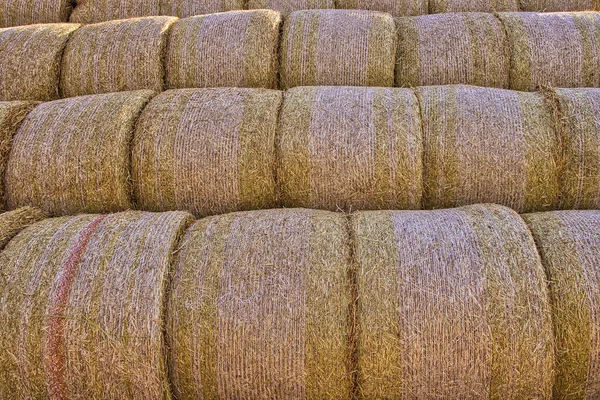 Detail Stacked Bales Straw Czech Republic — Stock Photo, Image
