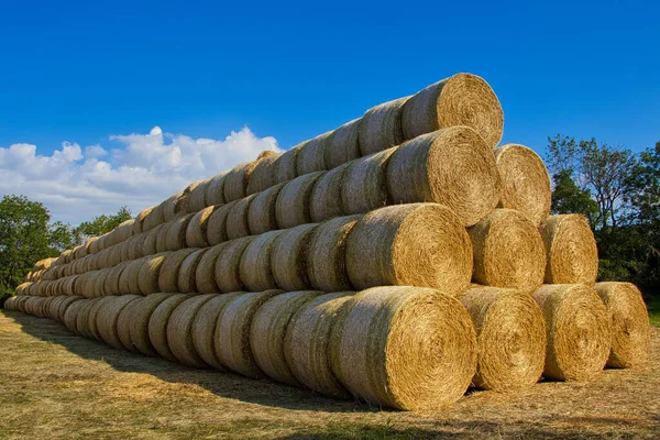 Große Lang Gestapelte Runde Strohballen Sommer Blauer Himmel Tschechien lizenzfreie Stockfotos