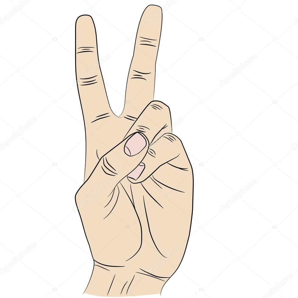 Isolated hand gesturing victory sign. Index and middle fingers raised and parted while other fingers clenched.