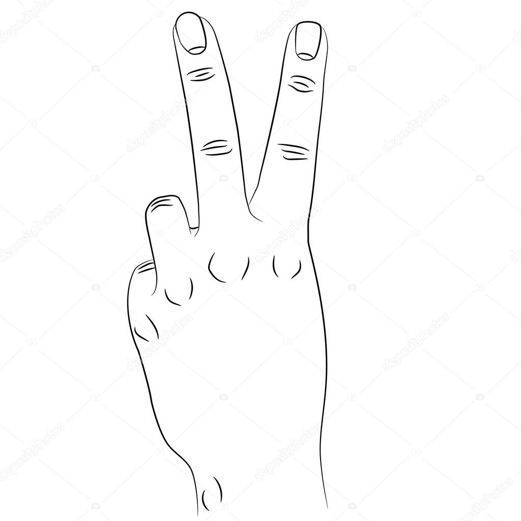 Isolated front of the hand gesturing victory sign. Index and middle fingers raised and parted and other fingers clenched.