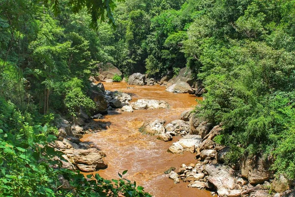 森林河流野生景观 — 图库照片