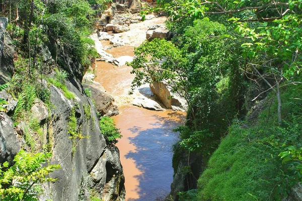 Árvore Floresta Rocha Rio Floresta — Fotografia de Stock