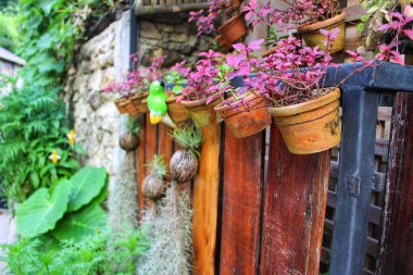 Saksıda çiçekler asılı ahşap bir çitte
