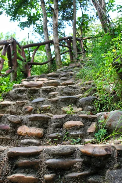 Escalera Piedra Que Sube Por Una Pasarela Través Del Bosque — Foto de Stock
