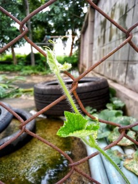 Tel örgü çitle fabrikayı kapatın.