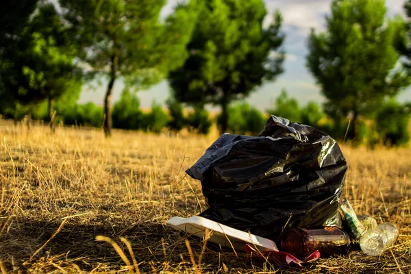 Garbage bags in the clean forest with a sunset in the background