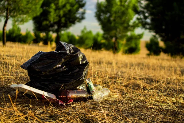 Garbage bags in the clean forest with a sunset in the background