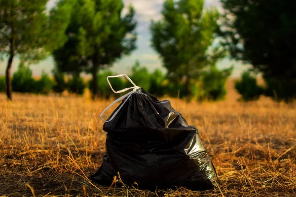 Garbage bags in the clean forest with a sunset in the background