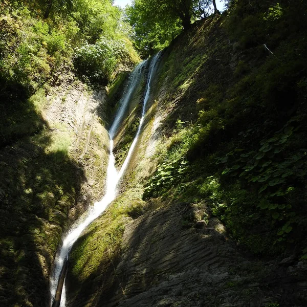 Ormanda şelale