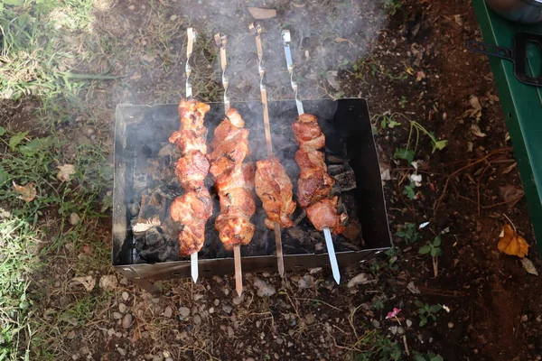 Carne Grelha — Fotografia de Stock