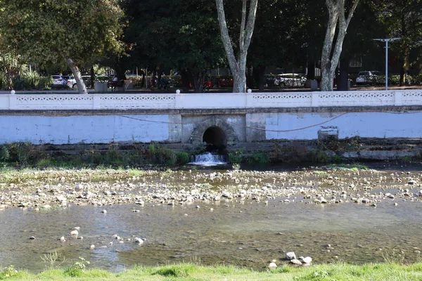 Patos Lago —  Fotos de Stock