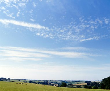 Çevredeki koyunlar, Gloucestershire, Cotswolds, İngiltere, İngiltere, Avrupa