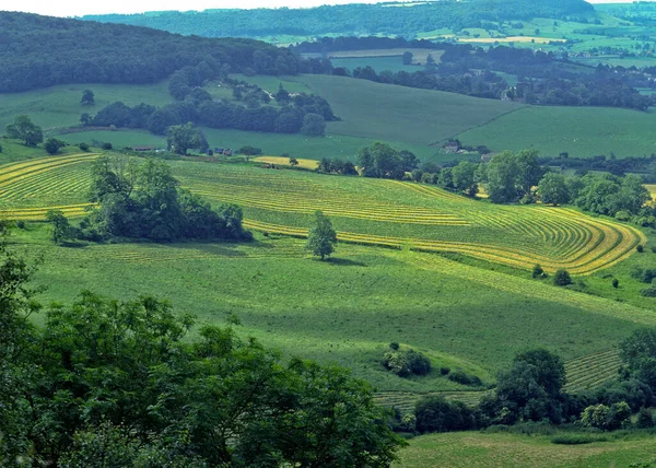 Paisaje Del Tiempo Cosecha Gloucestershire Cotswolds Inglaterra Reino Unido Europa — Foto de Stock